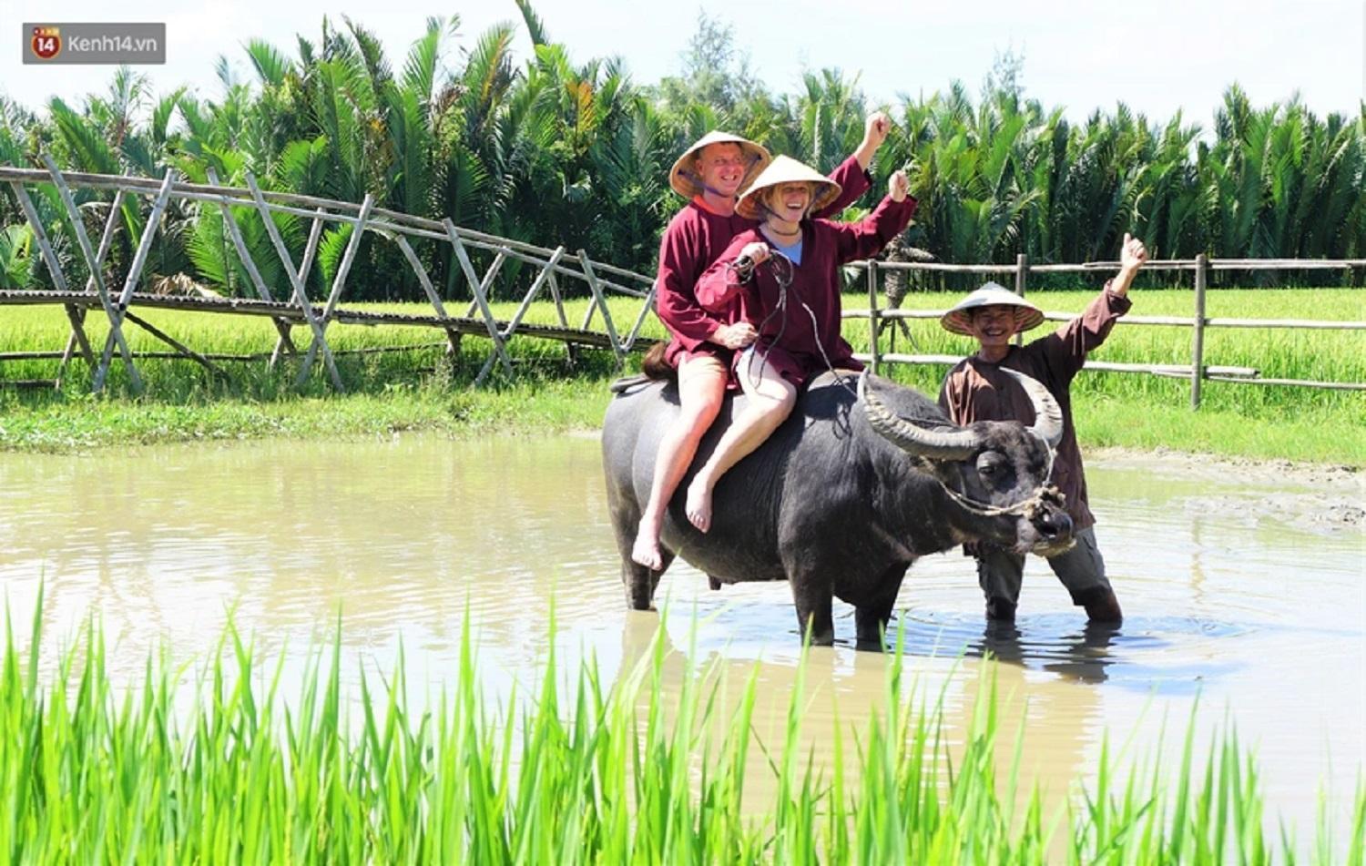 Tam Coc Sunshine Hostel Vu Lam Buitenkant foto